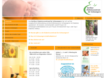 schwangerschaft-und-diabetes.de website preview