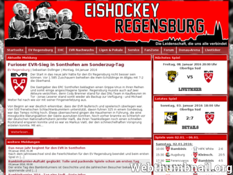 eishockey-regensburg.de website preview