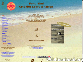 feng-shui-international.com website preview