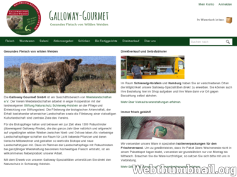galloway-shop.de website preview