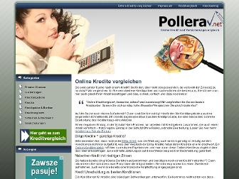 pollera.net website preview