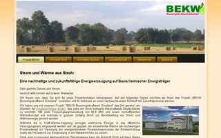 bioenergie-emsland.de website preview
