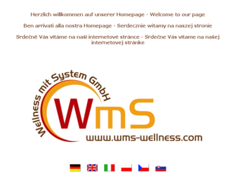 wms-wellness.com website preview