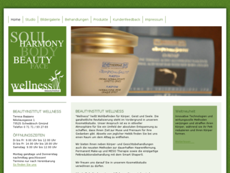 beautyinstitut-wellness.de website preview