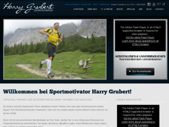 harry-grubert.de website preview