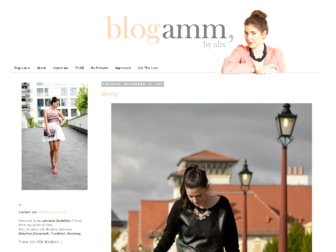 blog-amm.com website preview