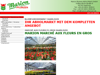 marion-pflanzen.de website preview