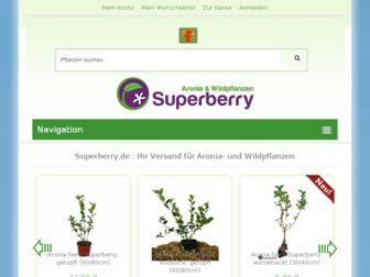 superberry.de website preview
