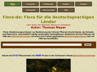 blumeninschwaben.de website preview
