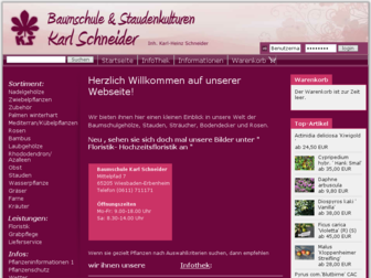 karlschneider.de website preview