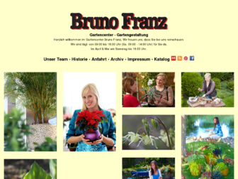 brunofranz.info website preview