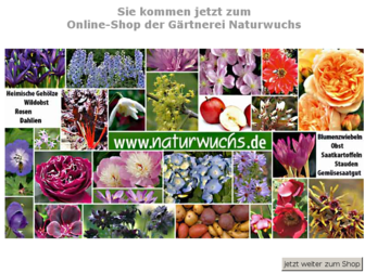 naturwuchs.de website preview