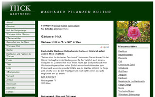 hick-wachau.at website preview