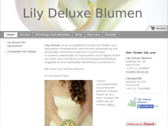 lilydeluxe.de website preview