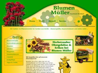 xn--blumen-mller-klb.de website preview