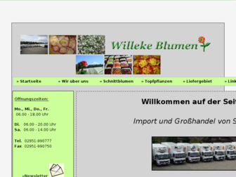 willeke-blumen.de website preview