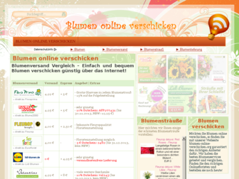 blumen-online-verschicken.org website preview