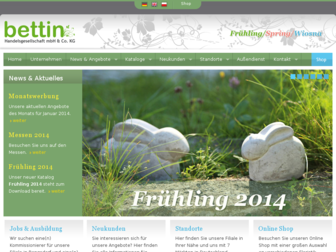 bettin.com website preview