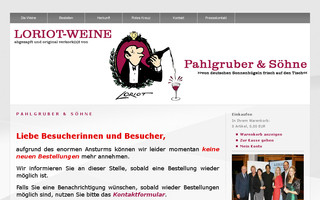 pahlgruberundsoehne.de website preview