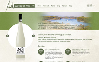 mueller-schwabsburg.de website preview
