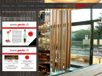 pavin.ch website preview