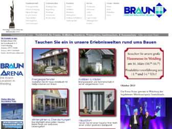 braun-online.com website preview