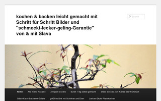 slava.com.de website preview