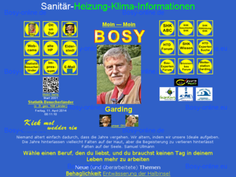 bosy-online.de website preview
