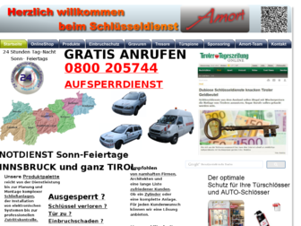 schluessel-amort.at website preview
