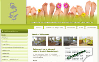landesschule.com website preview