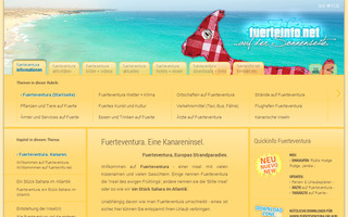 fuerteinfo.net website preview