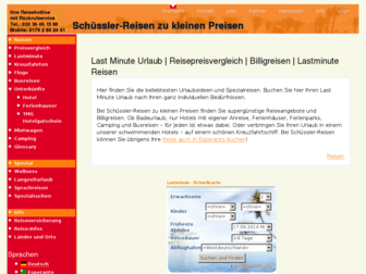 schuessler-reisen.de website preview