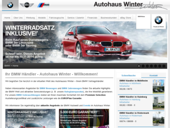autowelt-winter.de website preview