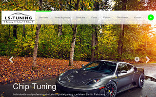 ls-tuning.com website preview