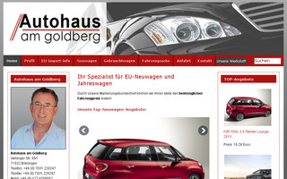 autohaus-am-goldberg.de website preview