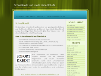 schnellkredit.org website preview