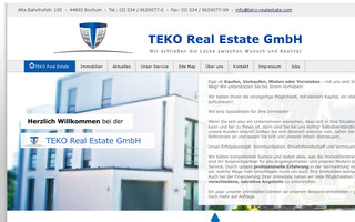 teko-realestate.com website preview