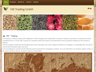 vm-trading.com website preview