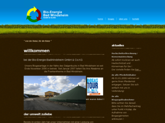 bio-energie-badwindsheim.de website preview