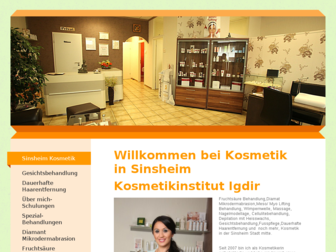 kosmetikinstitut-igdir.de website preview