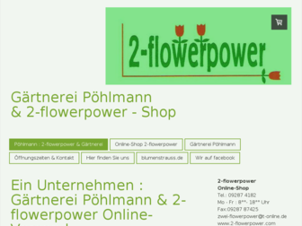 2-flowerpower.com website preview