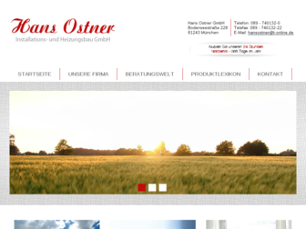 ostner.onlineshk.de website preview