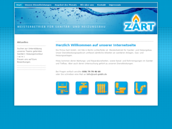 zart-gmbh.de website preview