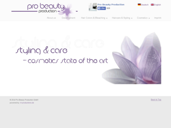 pro-beauty-production.de website preview