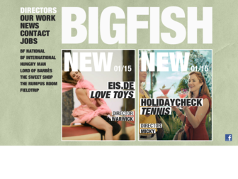 bigfish.de website preview