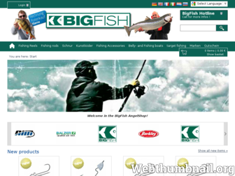 bigfish-shop.de website preview