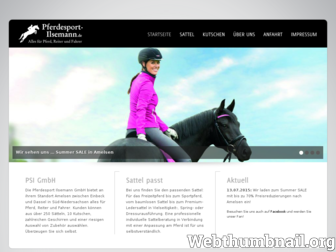 pferdesport-ilsemann.de website preview