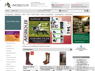 amesbichler.com website preview