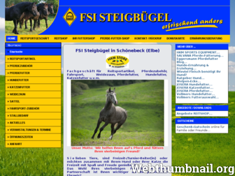 fsi-steigbuegel.de website preview