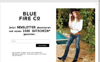 bluefireco.com website preview